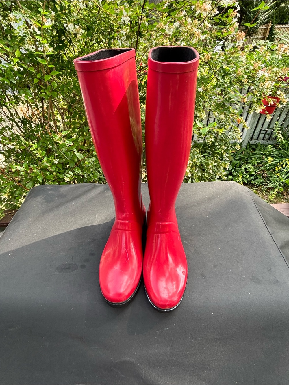 Polo by Ralph Lauren Red Women's Tall Rain Boots with Black Sole - Picture 5 of 10